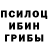 Псилоцибиновые грибы мицелий Svetochka Yusifov