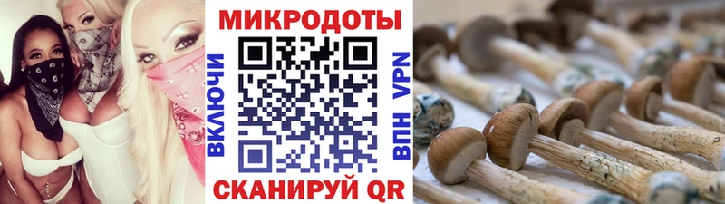 Псилоцибиновые грибы мухоморы Курск