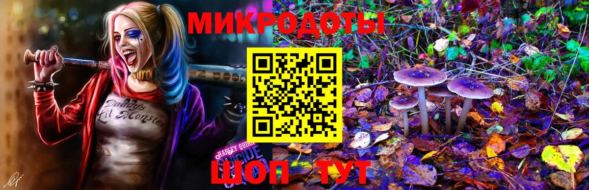 Галлюциногенные грибы Magic Shrooms Курск