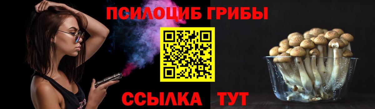 Галлюциногенные грибы Cubensis  Псилоцибиновые грибы Magic Shrooms  Курск  Вход с VPN 